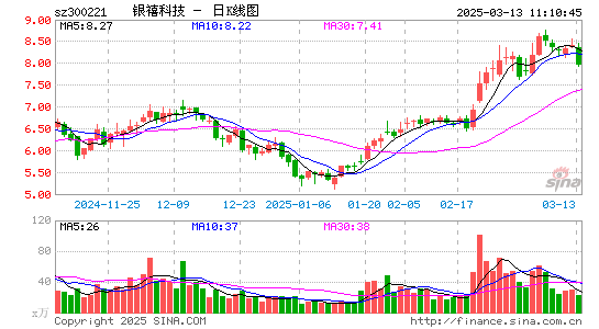 银禧科技