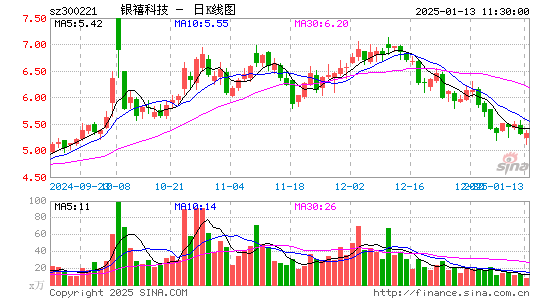 银禧科技