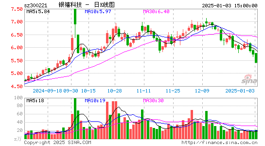 银禧科技