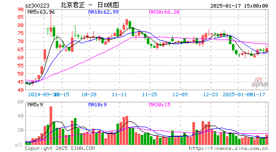 北京君正