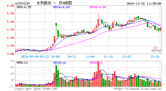 永利股份