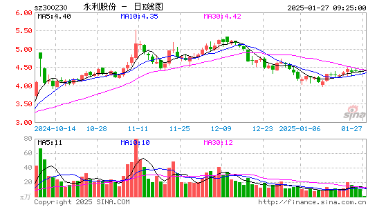 永利股份