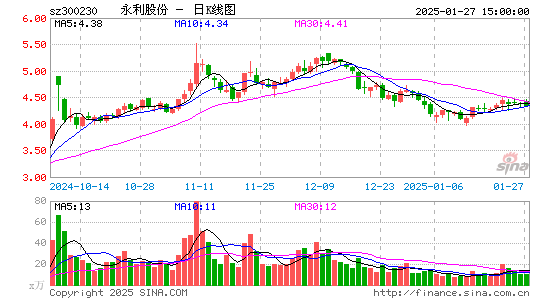 永利股份