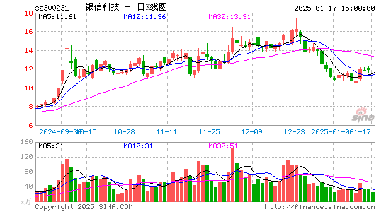 银信科技