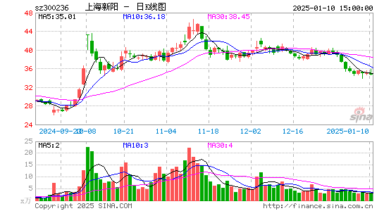 上海新阳