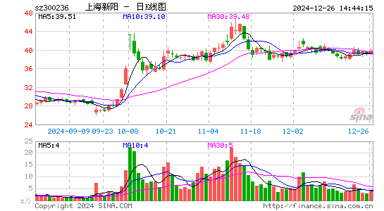 上海新阳