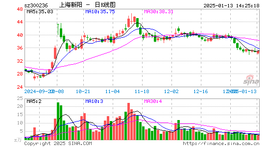 上海新阳