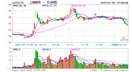 上海新阳