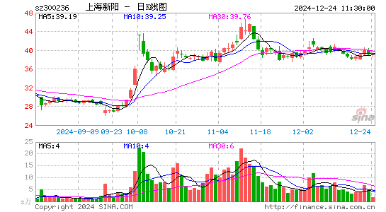 上海新阳