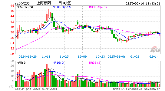 上海新阳