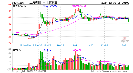 上海新阳