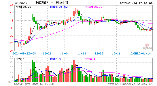 上海新阳