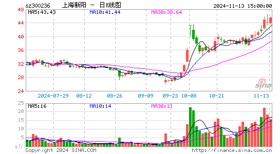 上海新阳