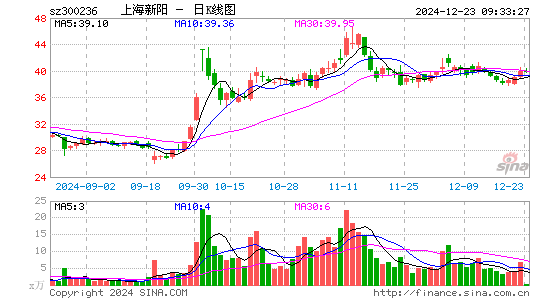 上海新阳