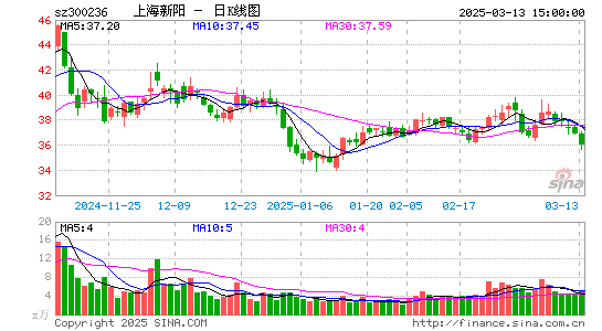 上海新阳