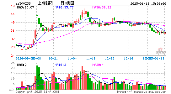 上海新阳