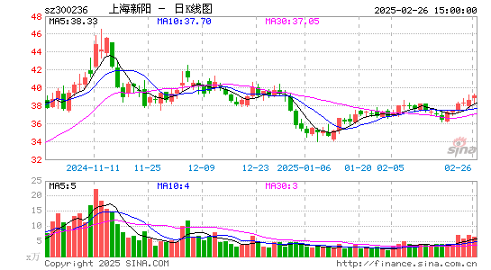 上海新阳