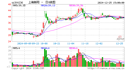 上海新阳