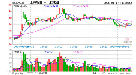 上海新阳