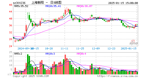 上海新阳