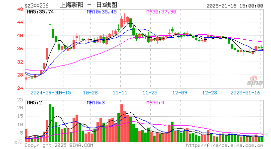 上海新阳