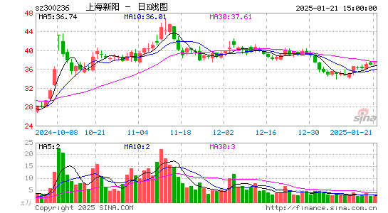 上海新阳