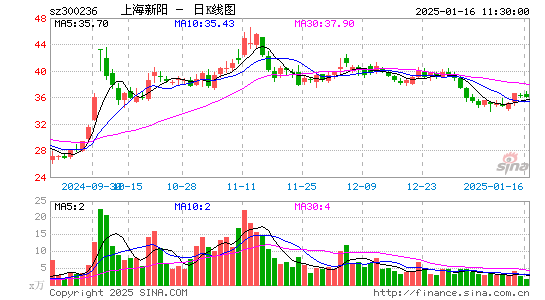 上海新阳