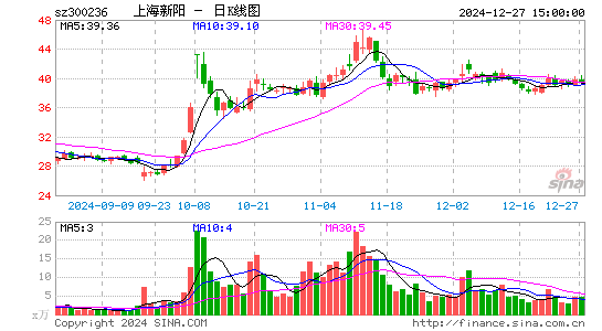 上海新阳