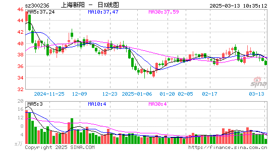 上海新阳