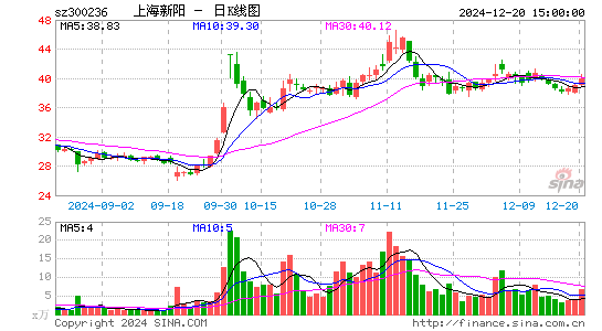 上海新阳