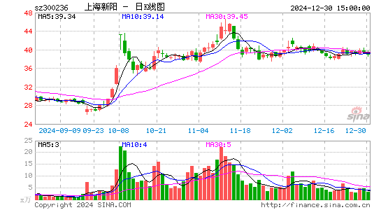 上海新阳