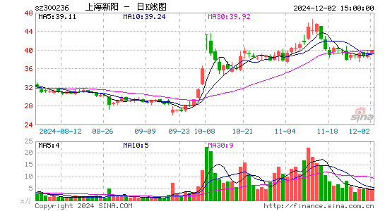 上海新阳