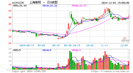 上海新阳