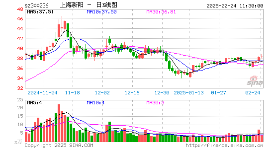 上海新阳