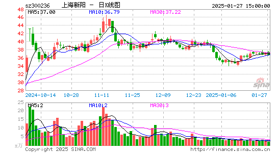 上海新阳