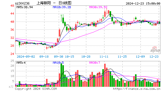 上海新阳