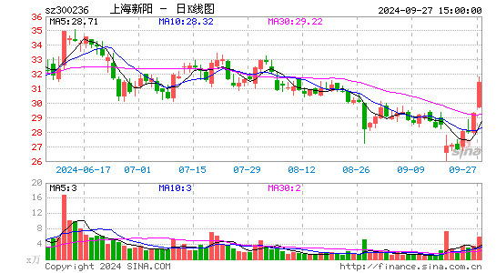 上海新阳