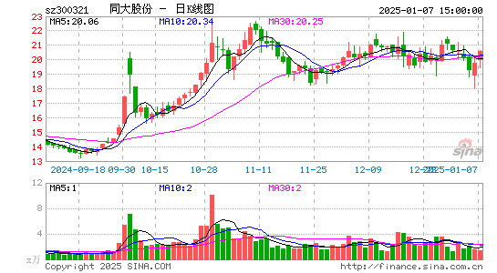 同大股份