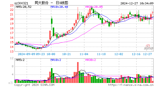 同大股份