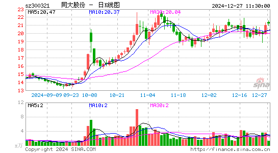 同大股份