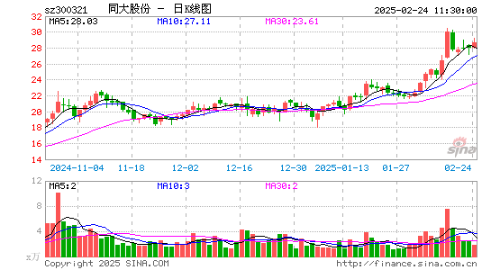 同大股份