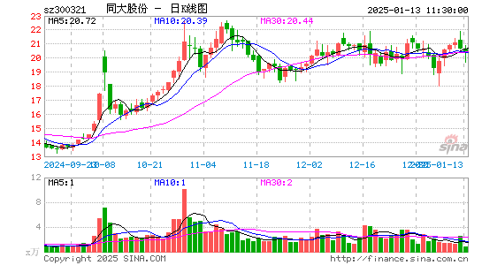 同大股份