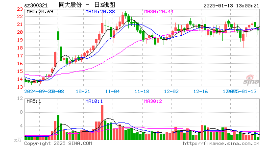 同大股份