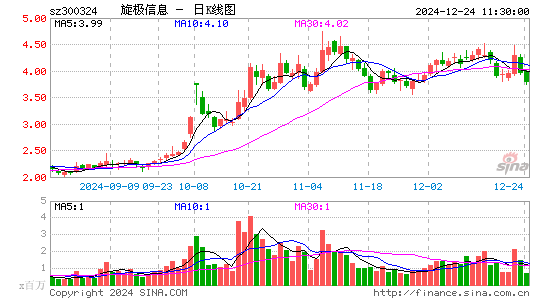 旋极信息