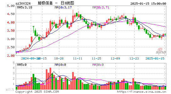 旋极信息