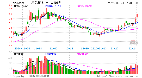 道氏技术