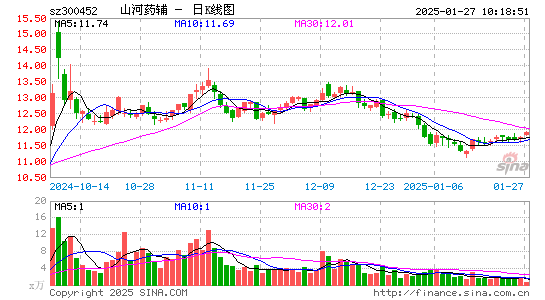 山河药辅