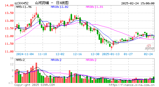 山河药辅