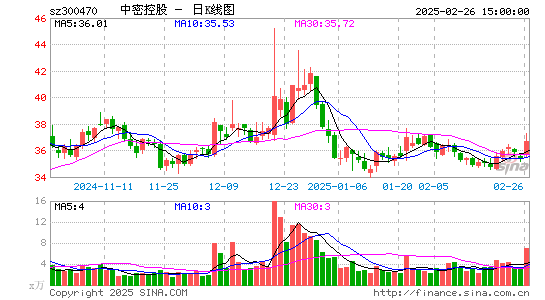 中密控股