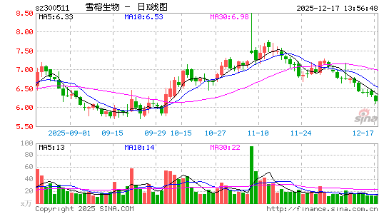 ѩ������